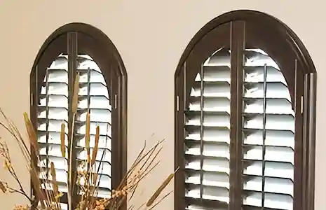 Timber Quality