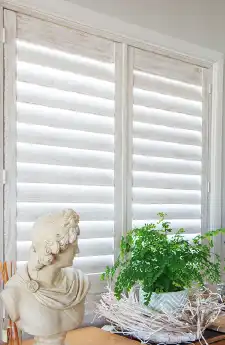 Aurora Paulownia timber shutters